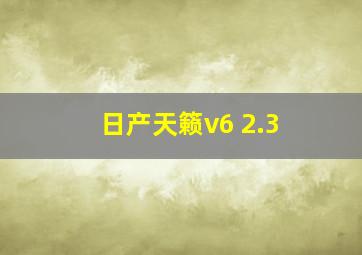 日产天籁v6 2.3